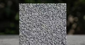 沈阳 芝麻黑荔枝面