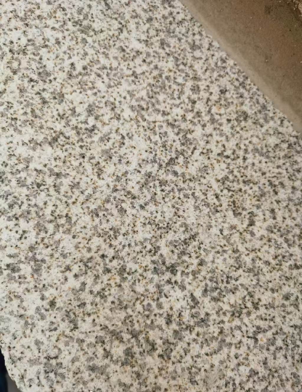 沈阳 黄金麻中黄光面