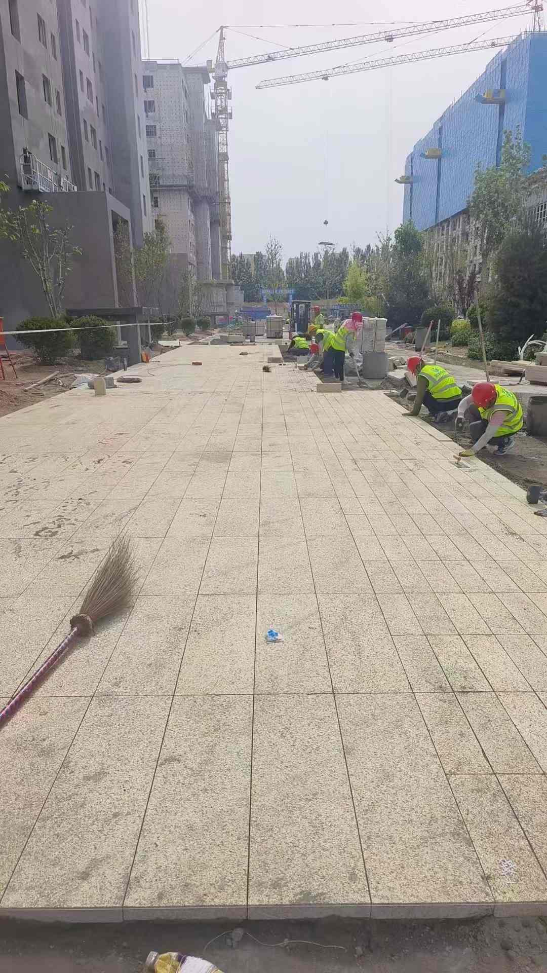 沈阳黄金麻荔枝面地铺案例