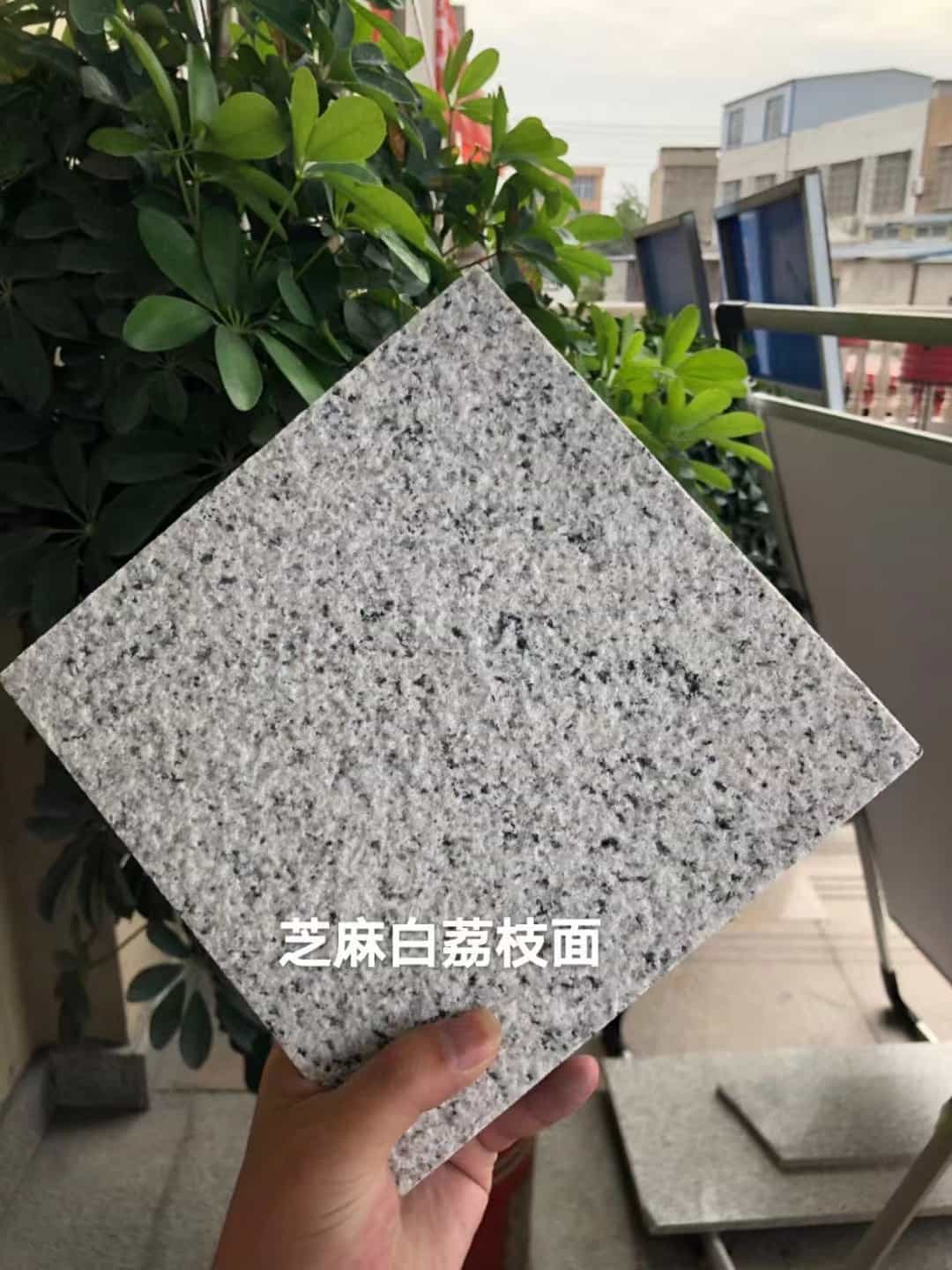 沈阳 芝麻白荔枝面干挂