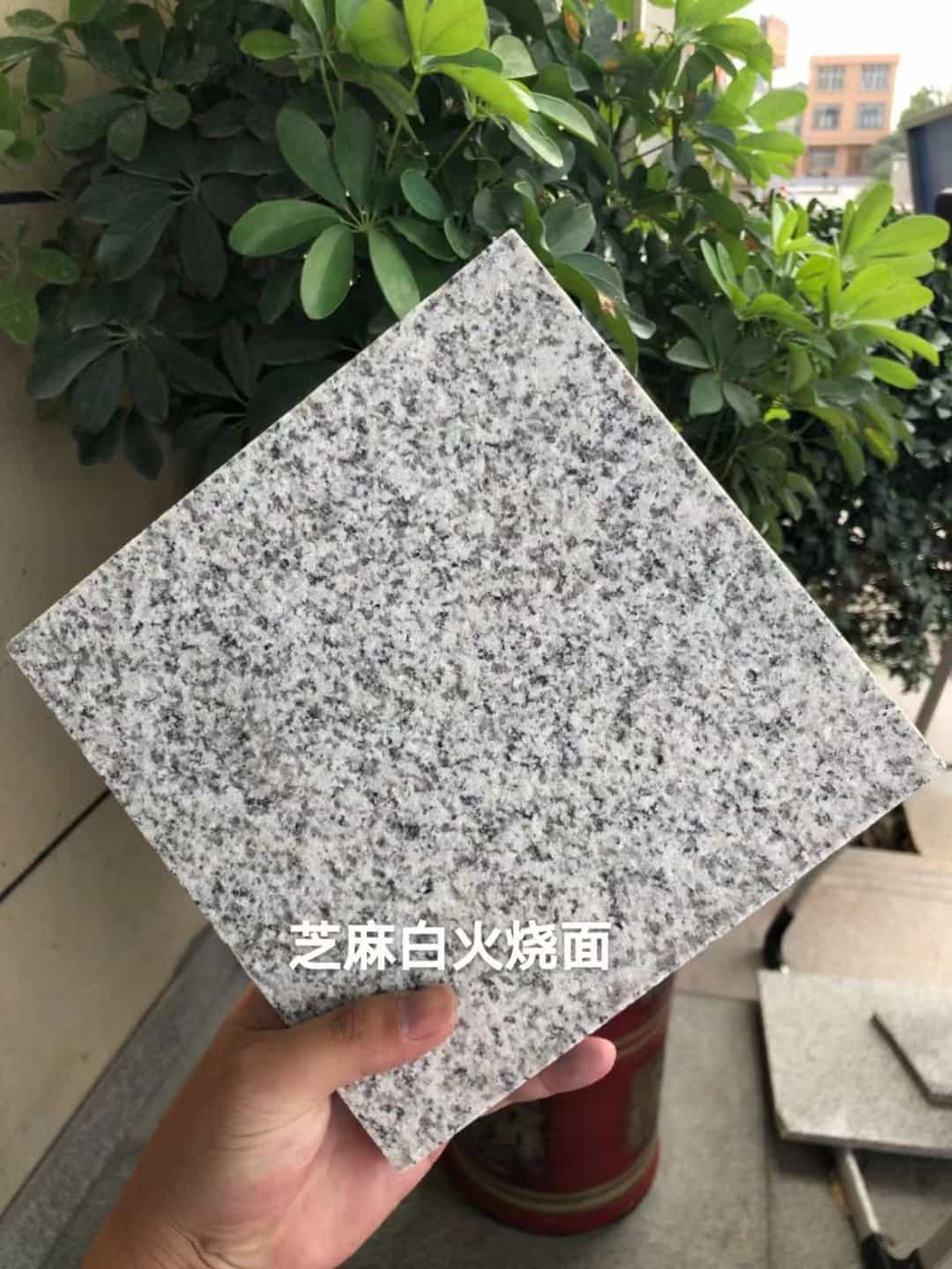 沈阳芝麻白火烧面地铺