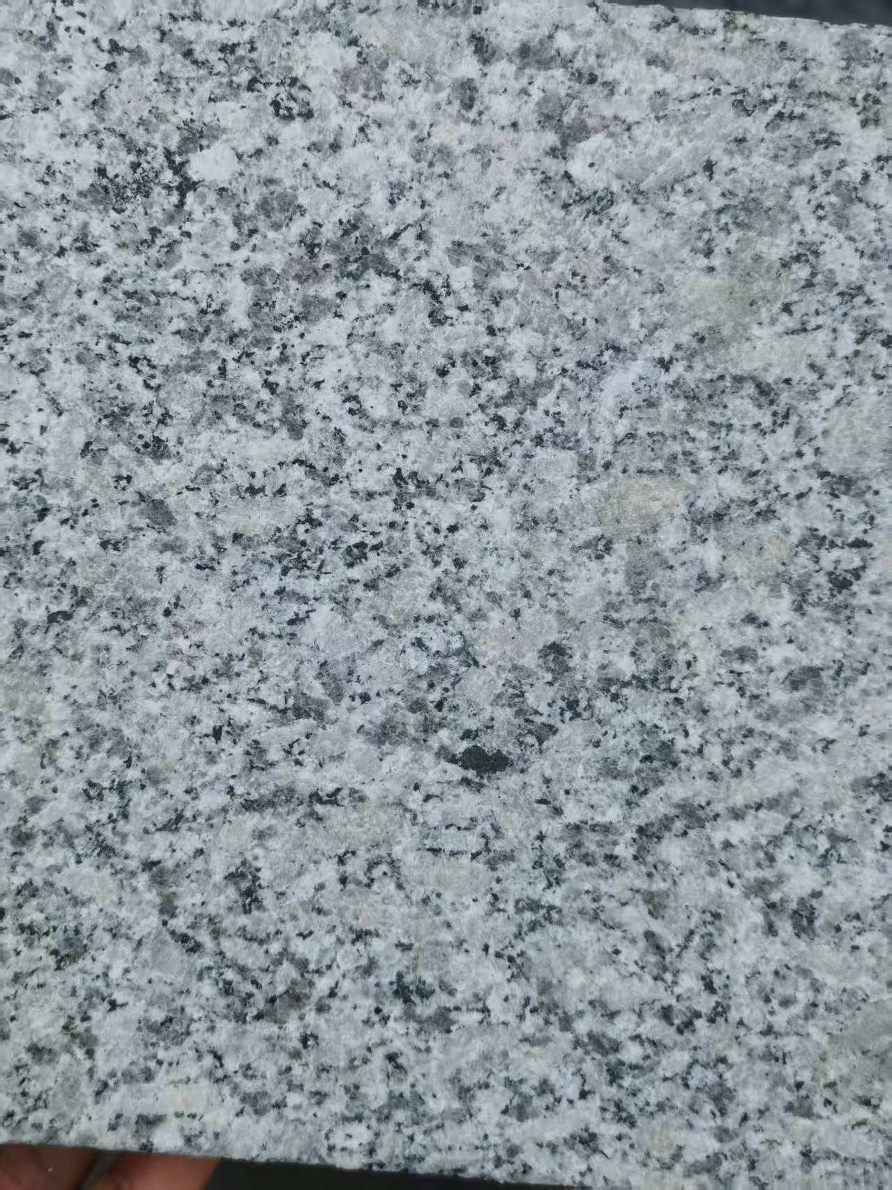 沈阳 芙蓉白火烧面